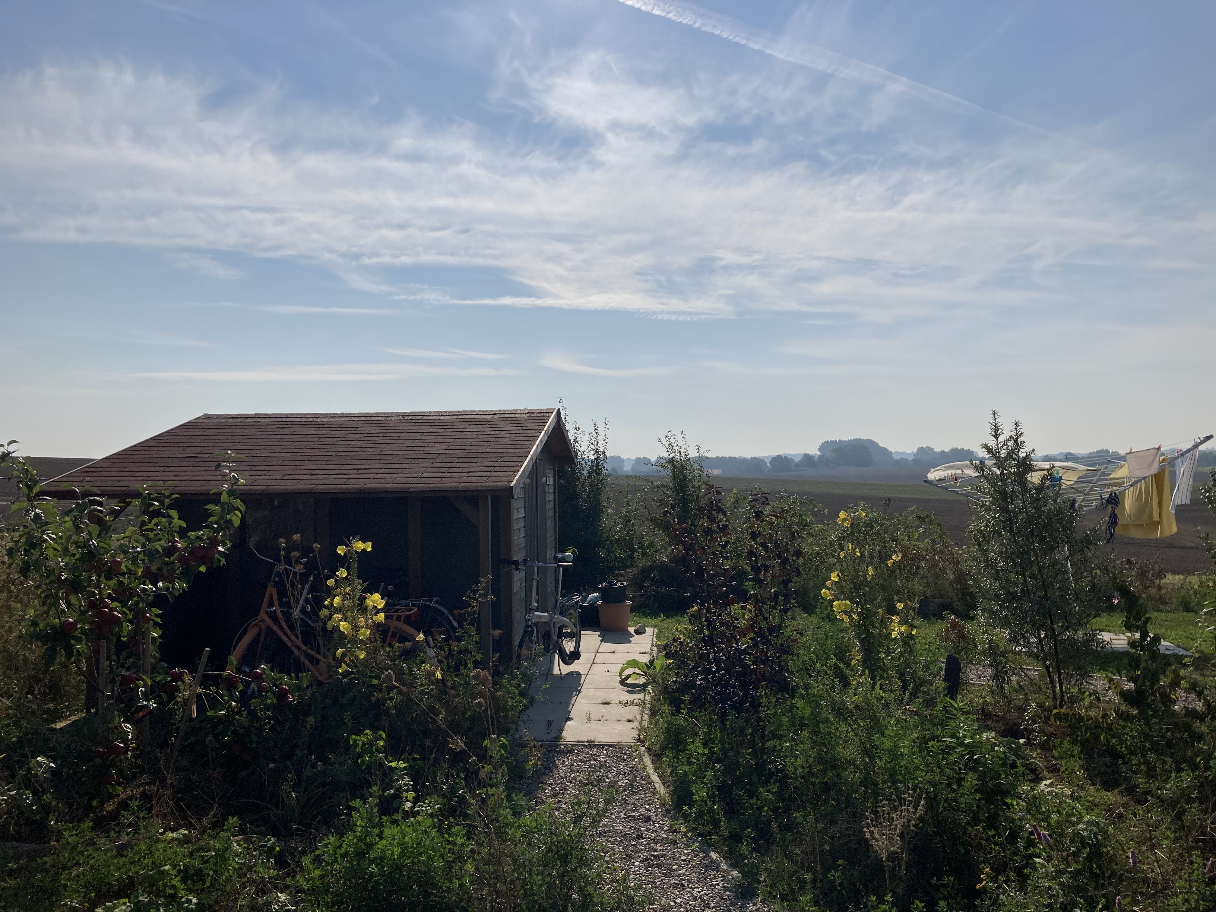 Der naturnahe Garten